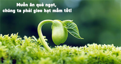 Hoạch định, lập trình lại cuộc sống